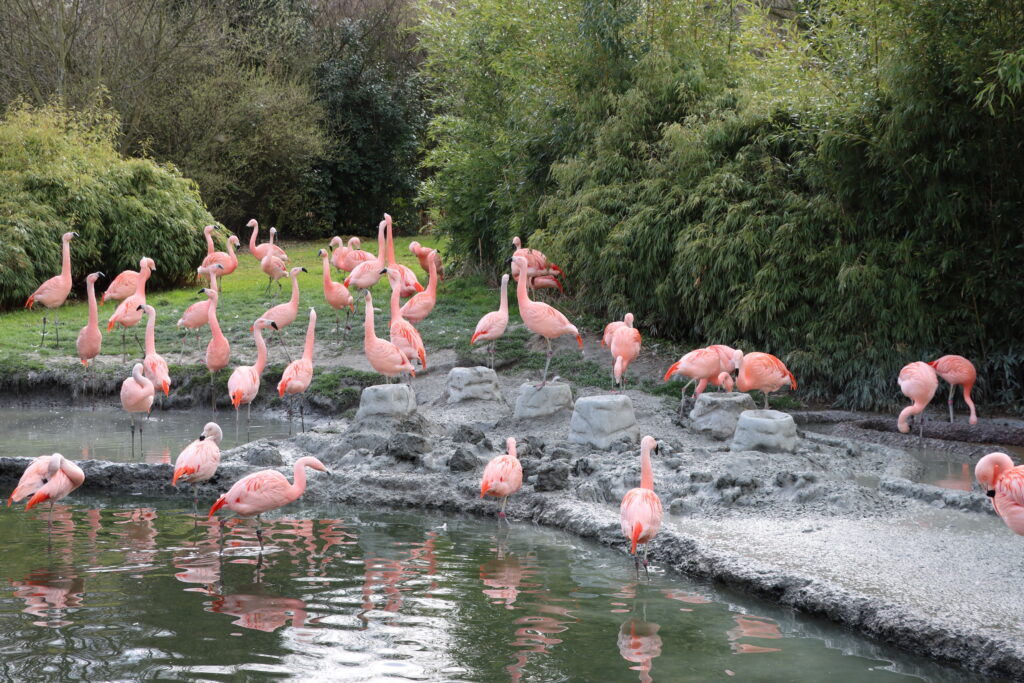 zurich zoo switzerland