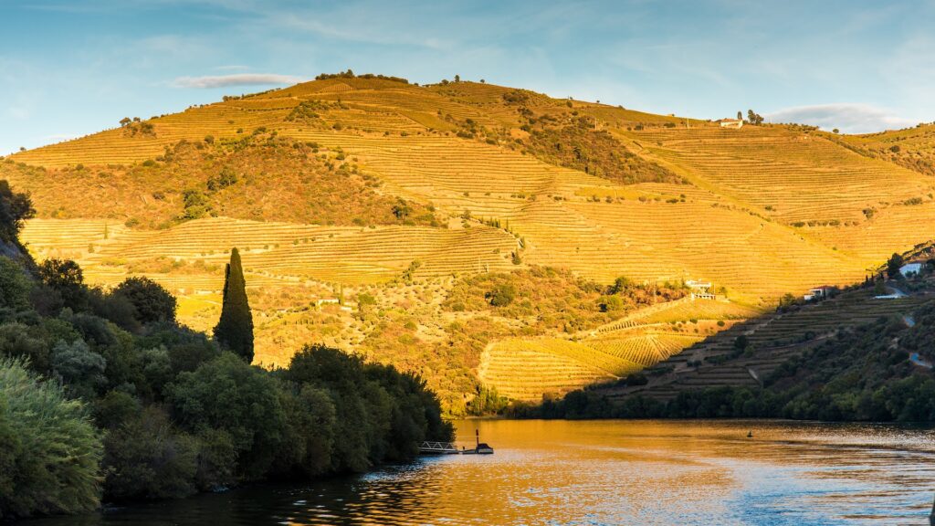 Cruise - Douro River Portugal 